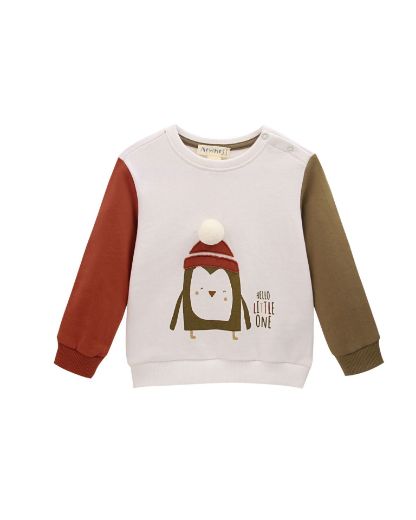 Picture of Sweatshirt