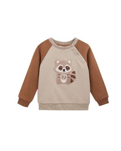 Picture of Sweatshirt
