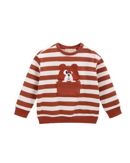 Picture of Sweatshirt