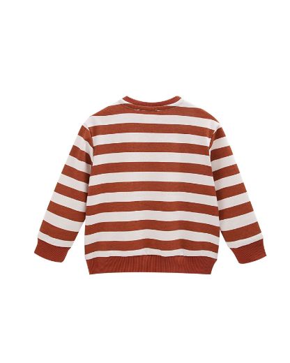 Picture of Sweatshirt