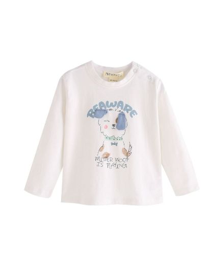 Picture of T-shirt