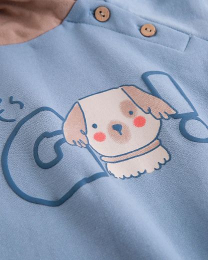 Picture of Sweatshirt