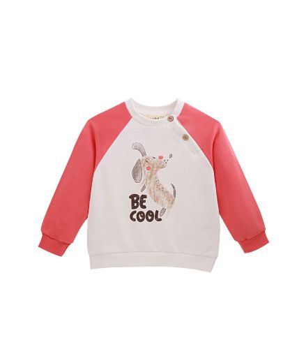 Picture of Sweatshirt