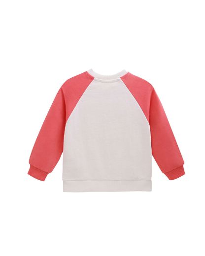 Picture of Sweatshirt