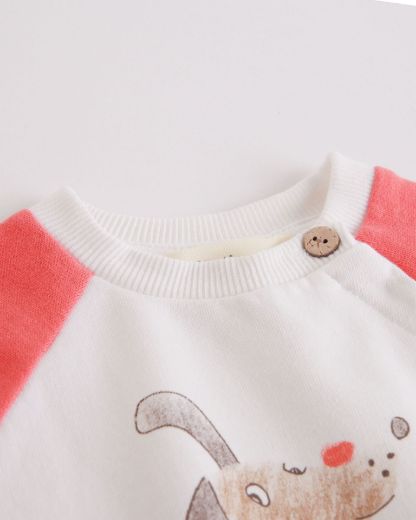 Picture of Sweatshirt