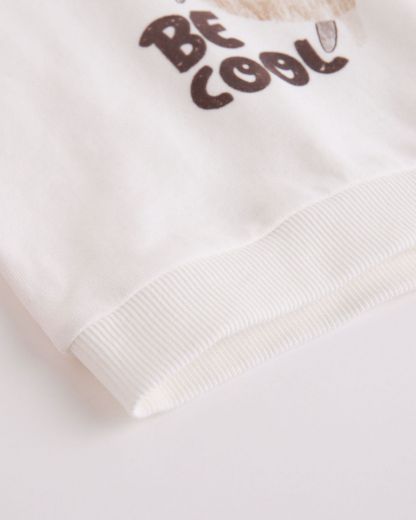 Picture of Sweatshirt