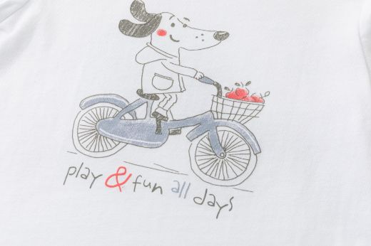 Picture of T-shirt