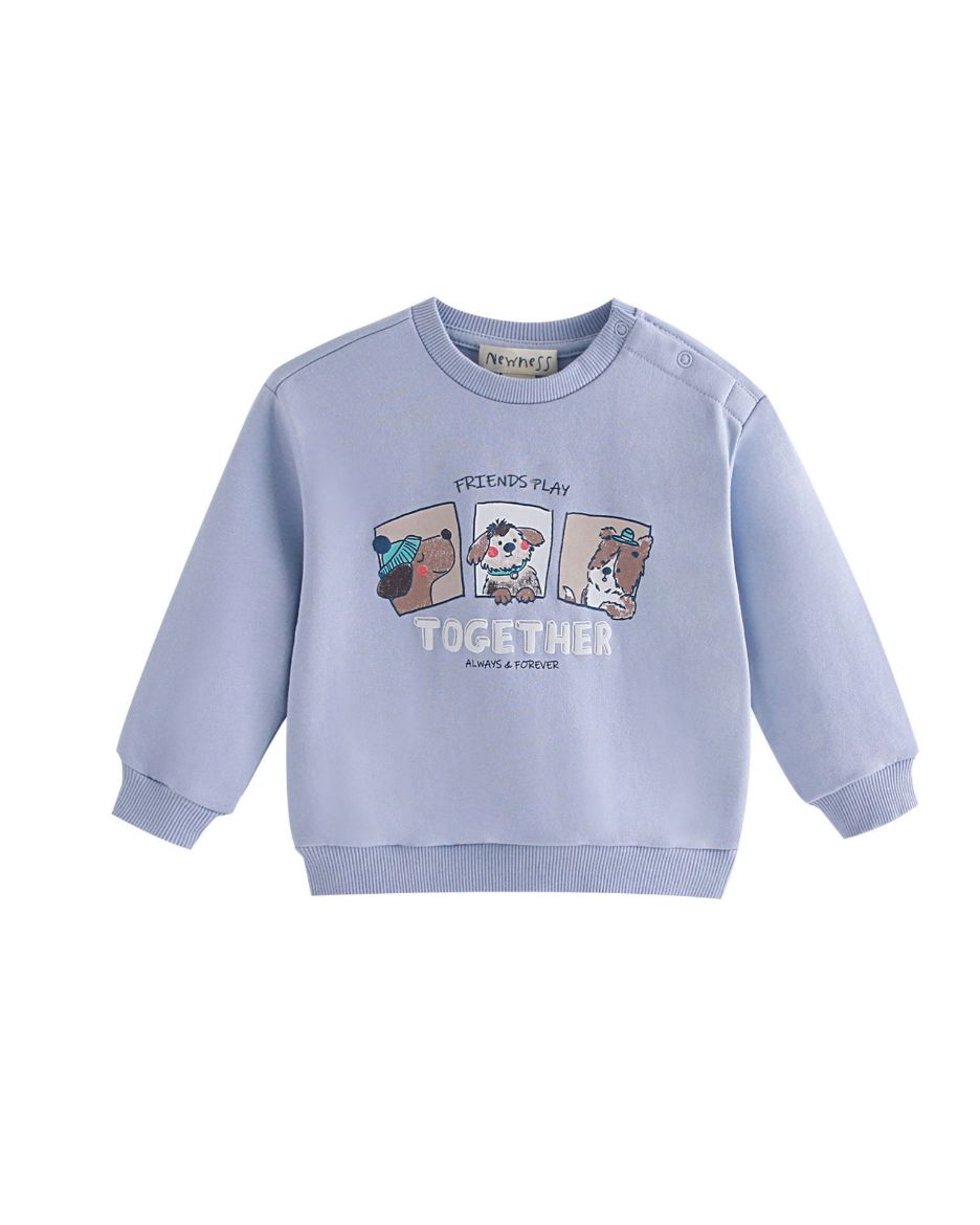 Picture of Sweatshirt