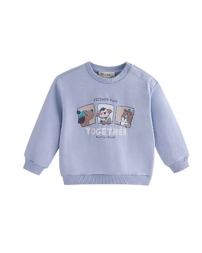 Picture of Sweatshirt