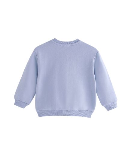 Picture of Sweatshirt