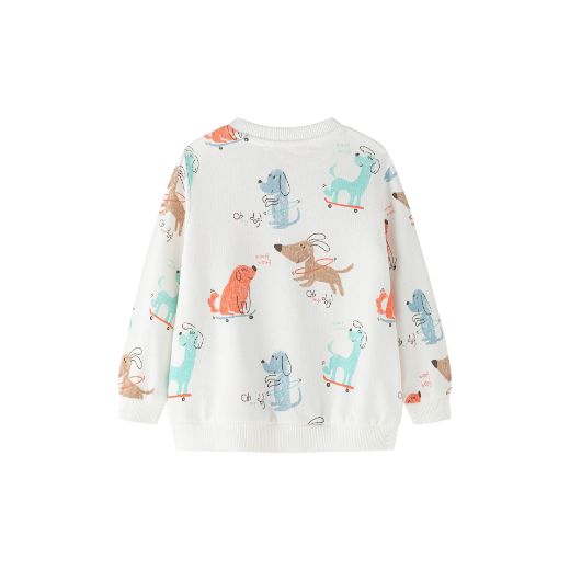 Picture of Sweatshirt