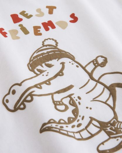 Picture of T-shirt