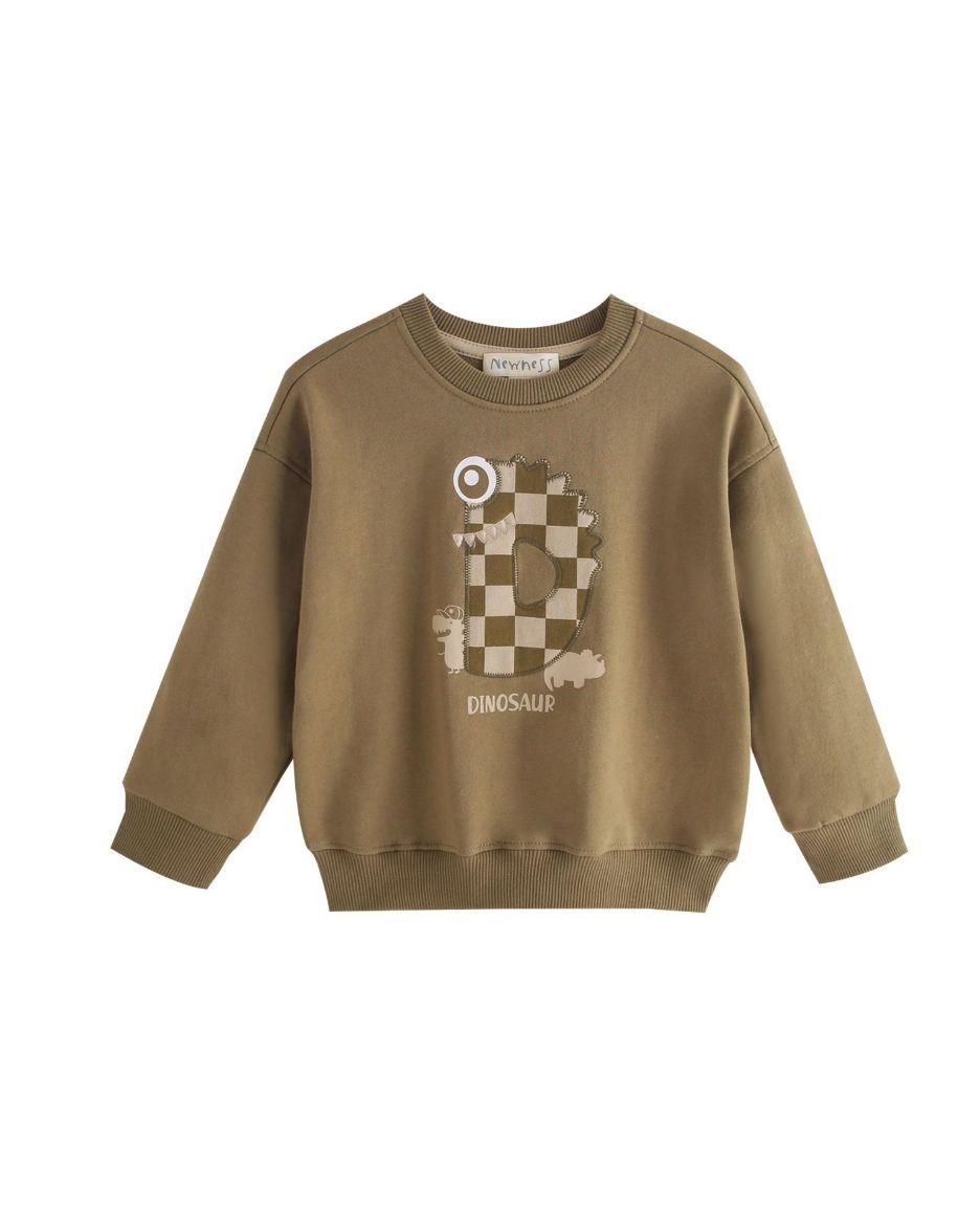 Picture of Sweatshirt
