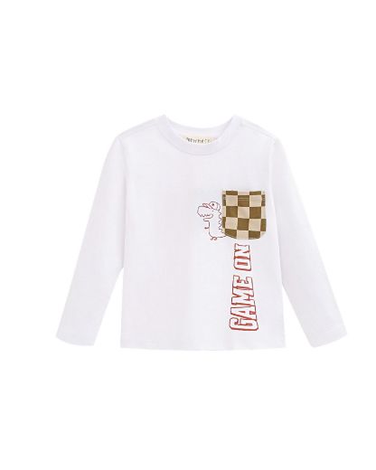 Picture of T-shirt