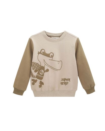 Picture of Sweatshirt
