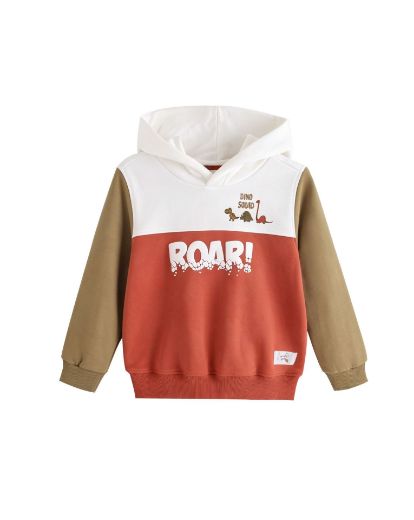 Picture of Sweatshirt