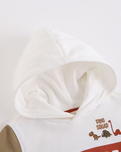 Picture of Sweatshirt