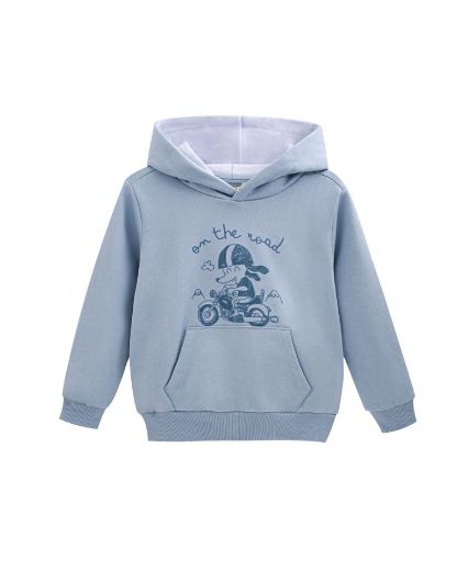 Picture of Sweatshirt