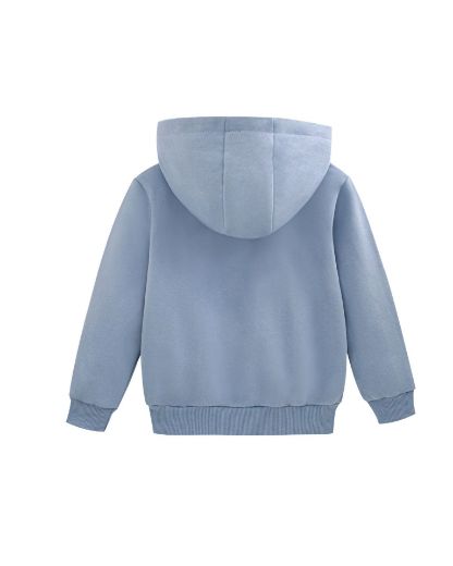 Picture of Sweatshirt