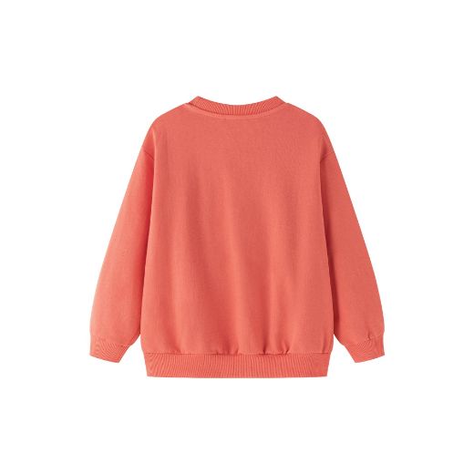 Picture of Sweatshirt