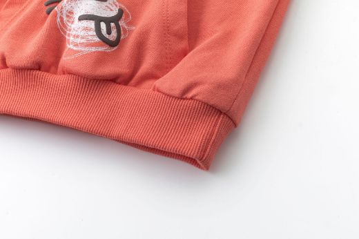 Picture of Sweatshirt