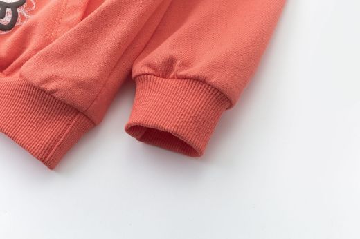 Picture of Sweatshirt