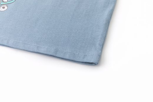 Picture of T-shirt