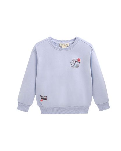 Picture of Sweatshirt