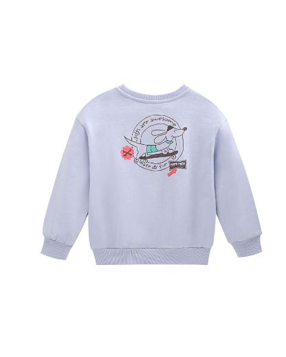 Picture of Sweatshirt