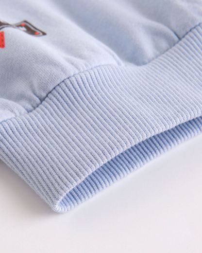 Picture of Sweatshirt