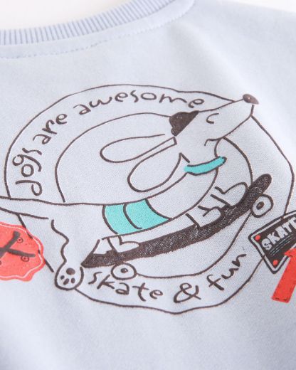 Picture of Sweatshirt