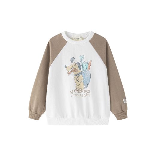 Picture of Sweatshirt