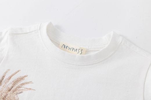 Picture of T-shirt