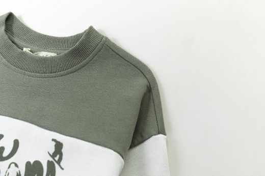 Picture of Sweatshirt