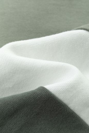 Picture of Sweatshirt