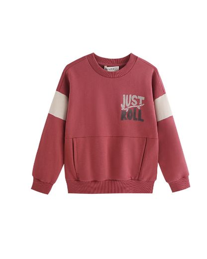 Picture of Sweatshirt