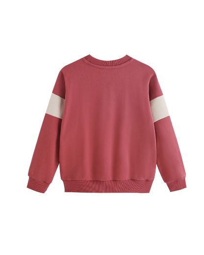 Picture of Sweatshirt