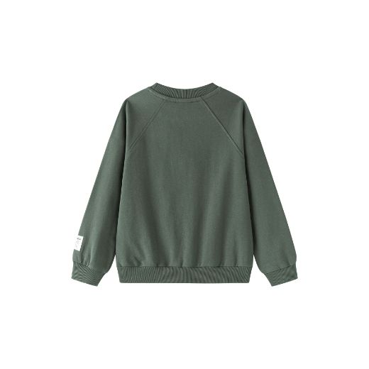 Picture of Sweatshirt