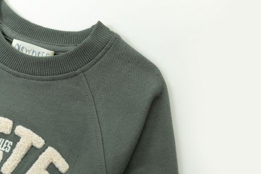 Picture of Sweatshirt