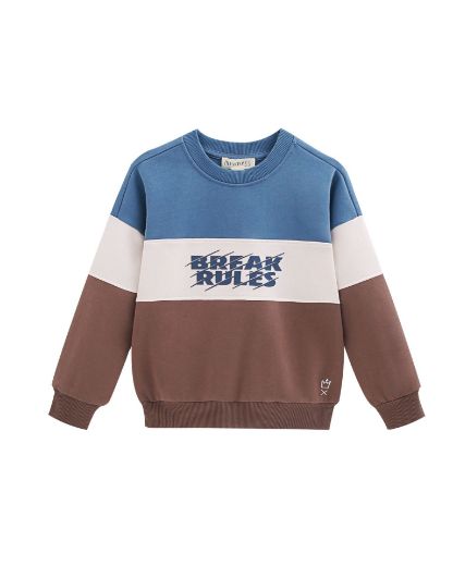 Picture of Sweatshirt