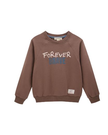 Picture of Sweatshirt