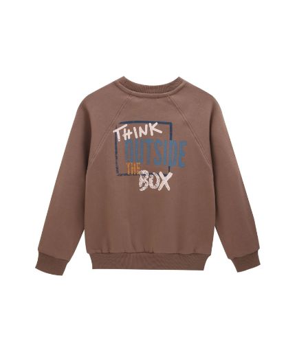 Picture of Sweatshirt