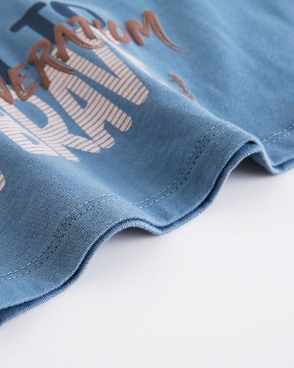 Picture of T-shirt