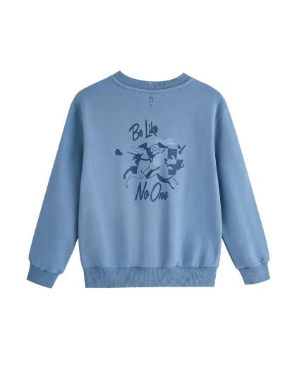 Picture of Sweatshirt