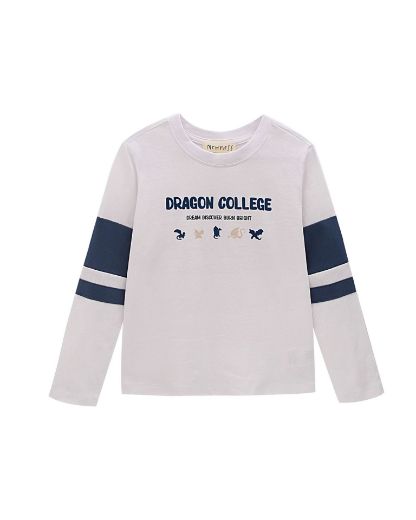 Picture of T-shirt