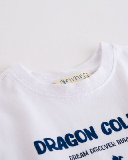 Picture of T-shirt