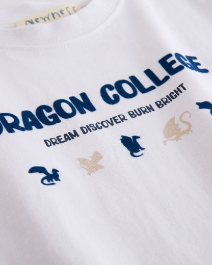 Picture of T-shirt