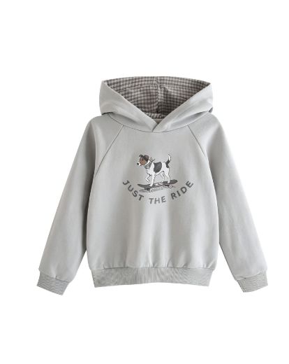 Picture of Sweatshirt