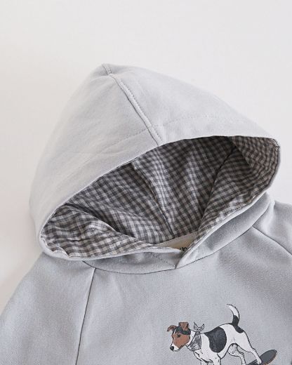 Picture of Sweatshirt