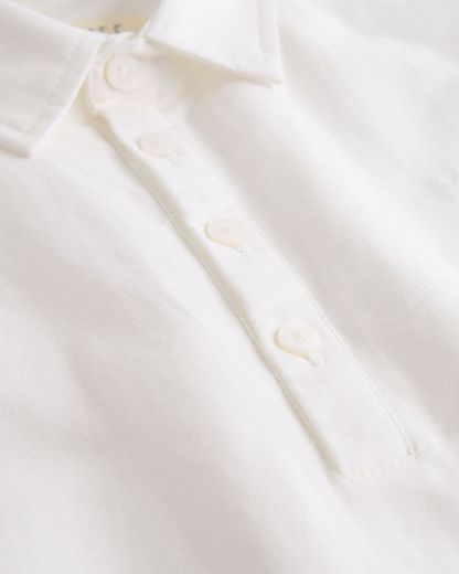 Picture of Shirt